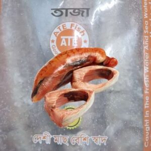 HILSHA / ILISH EGG